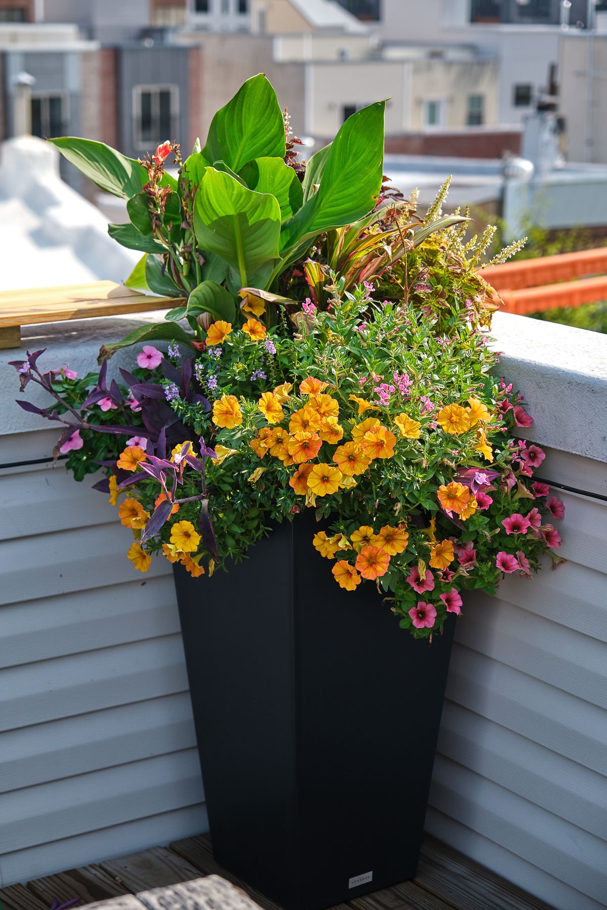 Enliven Planters summer container arrangement